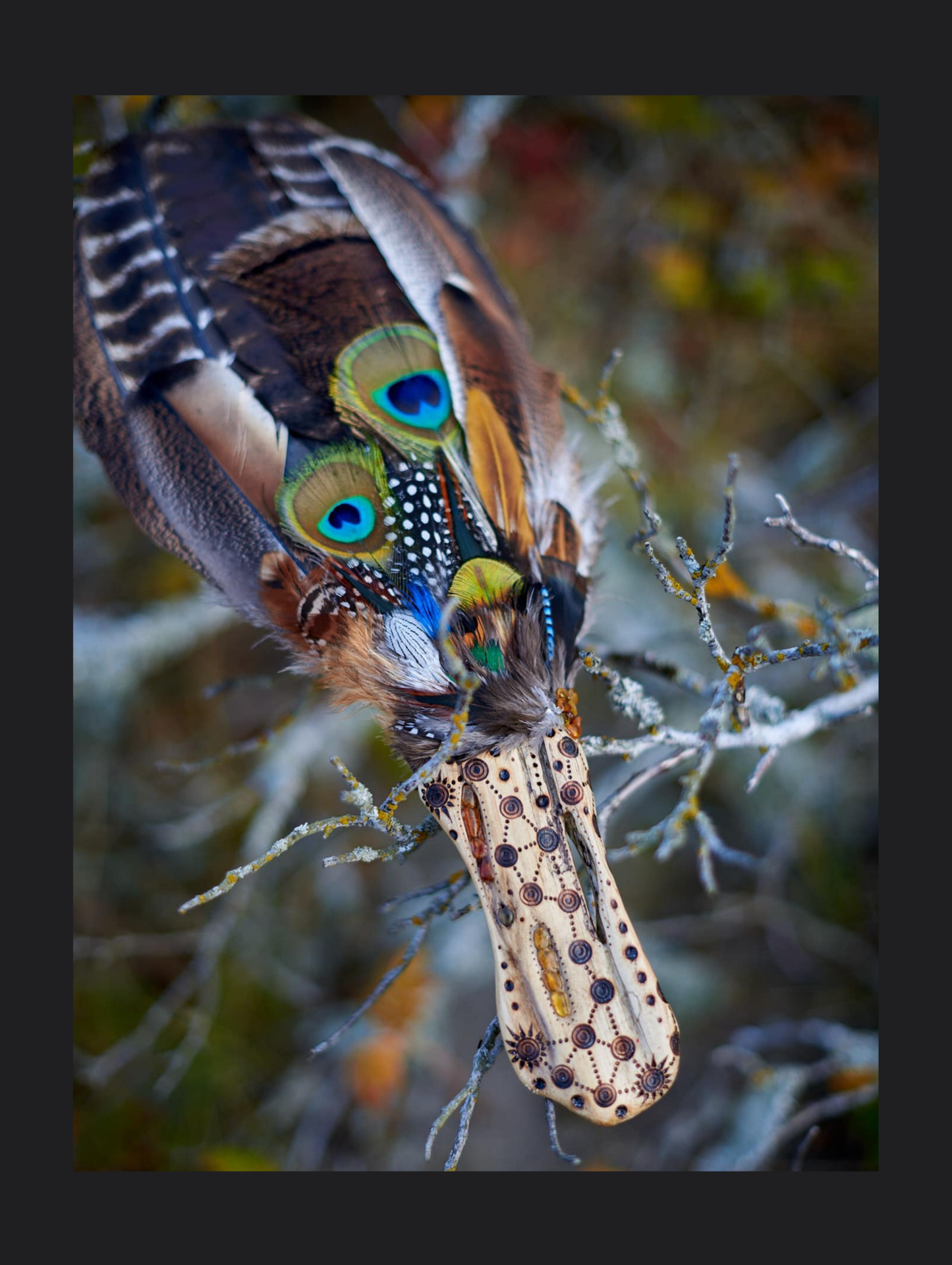 Feathers