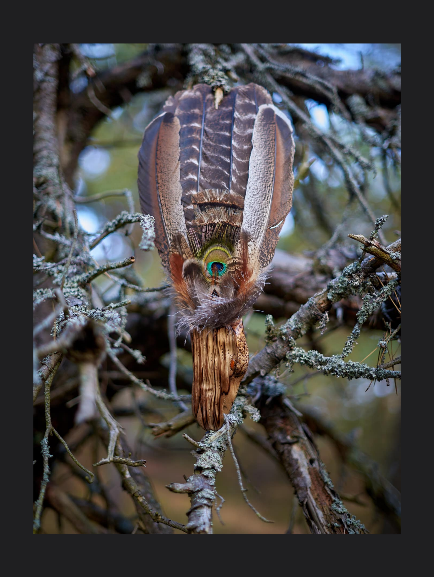 Feathers